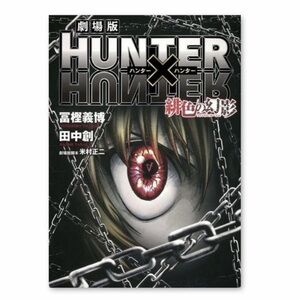 NEW Hunter x Hunter Canvas Poster (12x18)